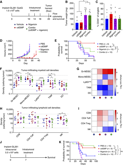 In vivo characterization of STING and NLRP3 inflammasome activation in GL261. A, Mice received subcutaneous injection of 1.0 × 106 GL261 cells in 30% Matrigel and then were injected intratumorally with vehicle, STING agonist cdGMP (25 μg), NLRP3 agonist nigericin (25 μg), or combination on days 10, 14, and 18. Tumors were then processed for tumor harvest and flow cytometry as described in methods (B, C, H–K) or measured for survival (D and E). Data shown represent (B) GL261 harvested tumor weights. C, Analyzed CD45+ cell frequency of total single cells. D, GL261 tumor volumes and (E) survival data. F–I, Overall composition and fold changes of cell densities vs. vehicle-treated tumors for analyzed CD45+ (F and G) myeloid and (H and I) lymphoid cell populations. J, Mice received intracranial injection of 5.0 × 104 GL261 cells in PBS in the right striatum via a guide bolt system, then were treated intratumorally via the guide bolt on day 7 with vehicle, STING agonist cdGMP (5 μg), NLRP3 agonist nigericin (5 μg), or combination, and survival monitored (K). Error bars represent mean ± SEM. Statistical significance was calculated using the Student t test or log-rank test. ns, not significant; *, P < 0.05; **, P < 0.01; ***, P < 0.001; ****, P < 0.0001. DC, dendritic cells; SubQ, sub-cutaneous.