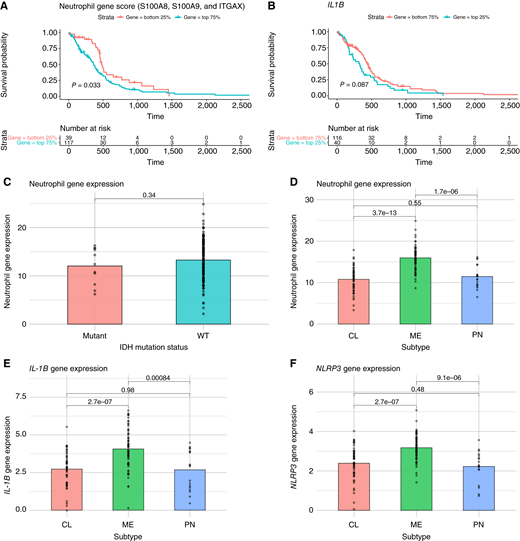 TCGA analysis of neutrophil-related genes in patients with primary GBM. Bulk RNA-seq transcriptome profiling data were normalized, and neutrophil gene scores based on the expression of S100A8, S100A9, and ITGAX were assigned to each patient sample. A, Survival was analyzed comparing patients with low (bottom quartile) and high (top 75%) neutrophil gene scores. B, Survival was analyzed comparing patients with high (top quartile) and low (bottom 75%) expression of the gene IL1B. Neutrophil gene scores were compared across IDH mutation status (C) and transcriptome molecular subtypes (D). Expression of IL1B (E) and NLRP3 (F) genes were compared across transcriptome molecular subtypes. Error bars represent mean ± SEM. Statistical significance was calculated using the Student t test or log-rank test. CL, classical; ME, mesenchymal; PN, proneural; WT, wild-type.