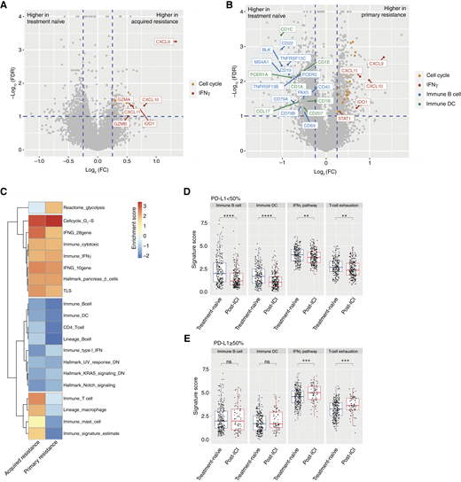 Analysis of the TME between post-ICI cohort (Tempus cohort 2) and treatment-naïve cohort (Tempus cohort 1). A, Volcano plot of differential expression analysis comparing the post-ICI acquired resistance subgroup vs. treatment-naïve cohort. B, Volcano plot of differential expression analysis comparing the post-ICI primary resistance subgroup vs. treatment-naïve cohort. C, Gene set enrichment analysis results of hallmark pathways and TME signatures with significant associations in either primary or acquired resistance cohorts. A positive normalized enrichment scale score indicates the increased pathway/signature in resistance cohorts relative to the treatment-naïve cohort. D and E, Box plots of B cell, DC, IFNγ, and T-cell exhaustion signatures for the (D) PD-L1 <50% subgroup and (E) PD-L1 ≥50% subgroup in post-ICI and treatment-naïve samples. FC, fold change; NES, normalized enrichment scale.
