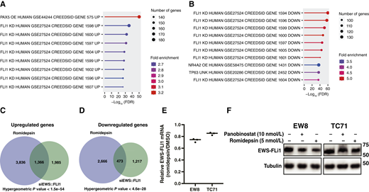HDAC inhibitors upregulate and downregulate genes that are regulated by EWS::FLI1. A and B, Results of transcription factor enrichment analysis performed with the genes that are upregulated (A) and downregulated (B) in EW8 cells treated with romidepsin. C and D, Overlap between genes upregulated (C) and downregulated (D) in EW8 cells treated with romidepsin or siEWS::FLI1. E, Relative EWS::FLI1 mRNA in EW8 and TC71 cells treated with romidepsin for 24 hours. F, EW8 and TC71 cells were treated with romidepsin or panobinostat for 24 hours, and then cellular lysates were collected for immunoblotting for the EWS::FLI1 oncoprotein.
