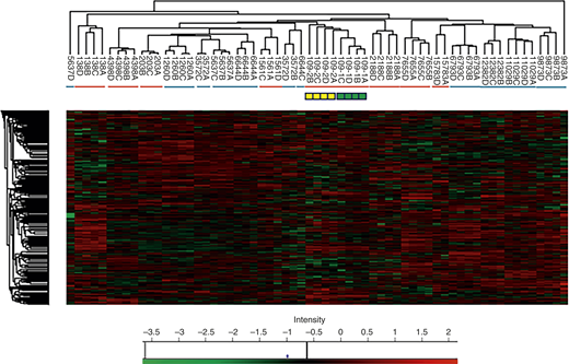 Unsupervised hierarchical clustering, with heatmap, for 1,622 proteins identified as significantly differentially abundant in any patient grouping among 16 patients with TNBC in two clinical response groups. Heatmap values represent log(2) Z-scored LFQ intensity values (for individual proteins minus the median value for all proteins from the same sample). Heatmap red and green coloration represents overabundant, under-abundant proteins, respectively. Colored bars under the vertical (column) sample clusters represent the response phenotype (red, pCR+; blue, pCR−). For samples 109, 263, 1,260, 1,561, 3,572, 4,398, 5,637, and 6,694, proteomes A and C and B and D represent serial sections from core 1 and core 2, respectively, of a single biopsy. For other patients, proteomes A to D represent serial quadruplicate sections from a single core. Yellow/green boxes beneath patient 109 show an MS drift control: A core biopsy for which digestion/sample processing and nanoLC/MS-MS were repeated on stored serial sections after a 5-month interval (yellow and green – repeat and initial, respectively). Horizontal (row) clusters represent protein groupings.