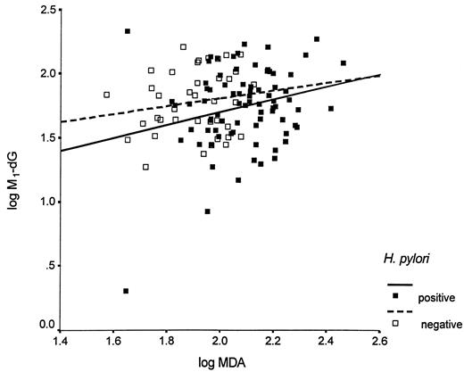 Fig. 2. Effect of MDA concentration on levels of M1-dG in gastric mucosa and impact of H. pylori infection. Data are log converted. Squares represent individual data points stratified according to H. pylori infection: ▪, H. pylori positive; □, H. pylori negative. Lines represent univariate linear regression slopes for H. pylori-positive (solid line) and -negative (dashed line) subjects.