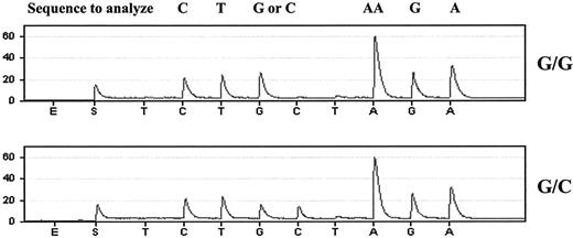 Fig. 1. Pyrogram result from pyrosequencing. The two genotypes (G/G or G/C) are represented.