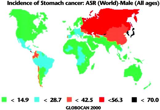 Fig. 1. Worldwide gastric cancer incidence rates in males (8).