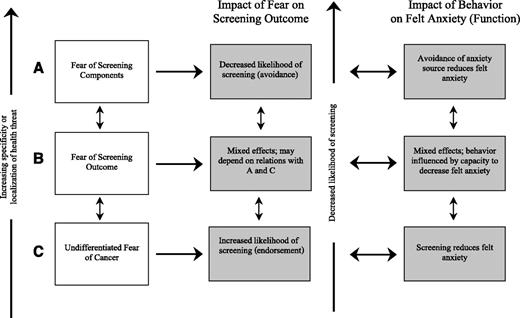 Fig. 1. Conceptual model depicting the relations between discrete aspects of cancer fear/anxiety, their function, and impact on screening behavior.