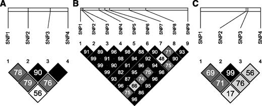 Figure 2. Pairwise measures of linkage disequilibrium (D′ × 100) among PRL (A), CYP17A1 (B), and COMT (C) loci genotyped in the control population. These linkage disequilibrium plots were generated using Haploview (27).