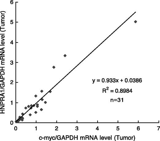 Figure 4. Correlation between the mRNA levels of HNRPA1/GAPDH and c-MYC/GAPDH in tumor tissue (r = 0.948; n = 31).