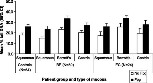 Figure 1. DNA damage levels in control, Barrett's esophagus (BE), and esophagus adenocarcinoma (EC) patients. DNA damage was measured in the comet assay as described in Materials and Methods. Mean % comet tail DNA with 95% CI for each tissue type examined in each patient group, both with and without incorporation of Fapy glycosylase (Fpg) enzyme at a dilution of 1:3,000.