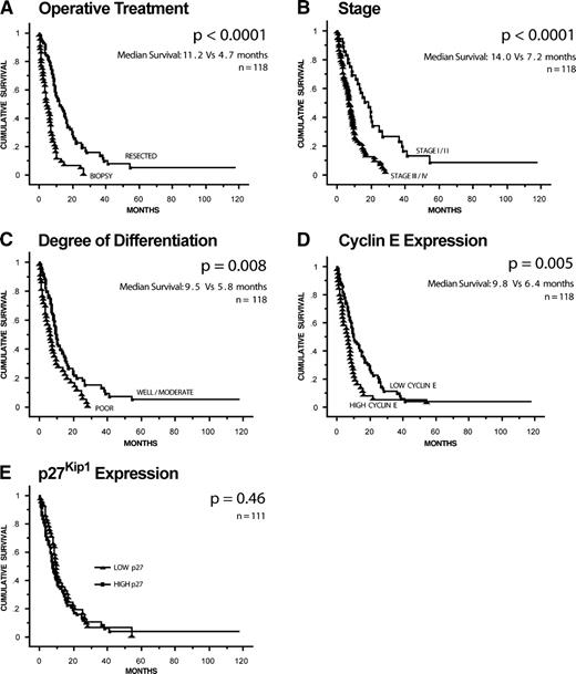 Figure 1. Kaplan-Meier survival curves for the whole cohort.