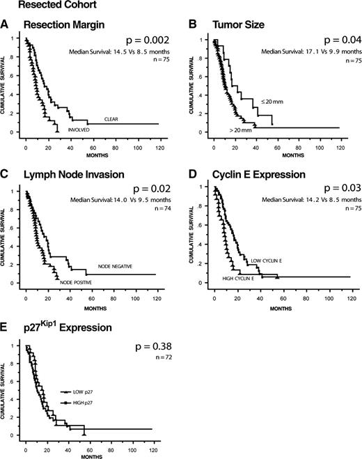 Figure 2. Kaplan-Meier survival curves for patients who underwent pancreatectomy.