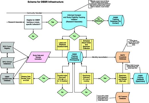 Figure 1. Schema for infrastructure for DBBR.