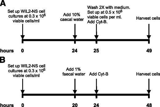 Figure 1. Schematic protocol of cecal water (A) and fecal water (B) CBMN-Cyt assay experiment.
