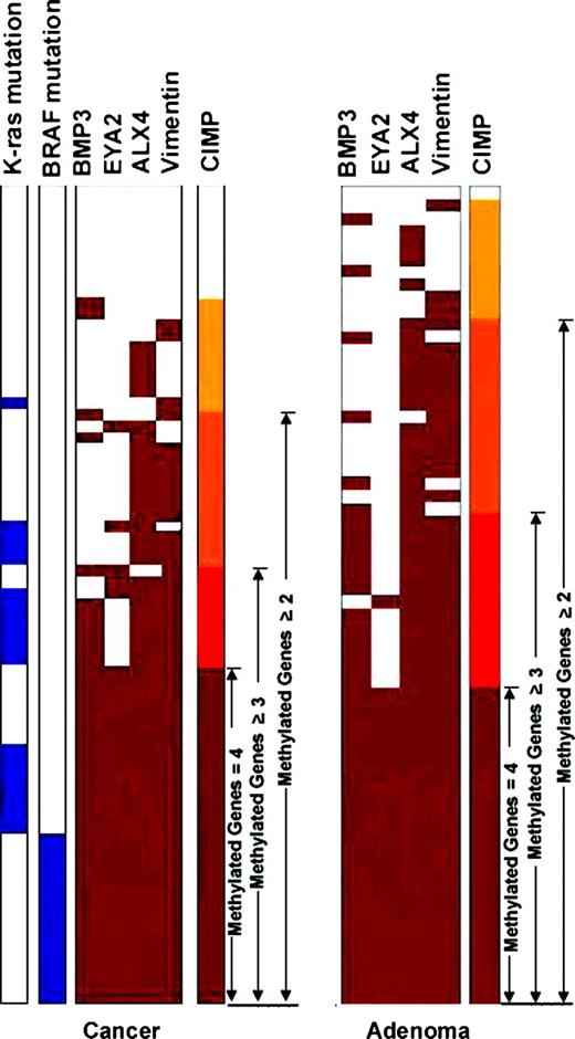 Figure 7. Heat maps demonstrating relationship of specific gene methylation, K-ras and BRAF mutations, and categorization as CIMP in colorectal cancer and adenoma. Red bars, methylated samples for the corresponding gene. The methylation levels across all cancer or adenoma samples are indicated from low to high using a long bar with increasing depth of red color. Blue bars, BRAF and K-ras mutations.