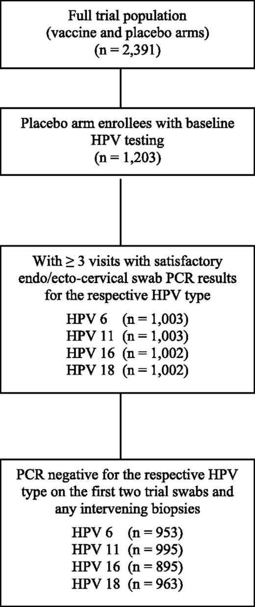 Figure 1. Sample selection criteria for analyses of HPV-6, HPV-11, HPV-16, and HPV-18 incidence. The final samples eligible for each type-specific analysis are represented within the bottom box, labeled by HPV type, reflecting placebo arm women negative on PCR testing for the relevant HPV type on the first two trial endocervical/ectocervical swabs and any intervening cervical biopsies.