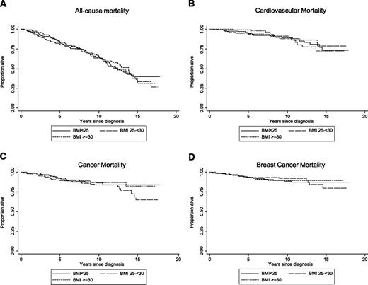 Figure 1. Kaplan-Meier survival curves for all-cause and cause-specific mortality stratified by BMI category. Unweighted log-rank tests for equality of survival curves by BMI category: A, all cause (P = 0.98); B, cardiovascular (P = 0.86); C, cancer (P = 0.29); D, breast cancer (P = 0.99).