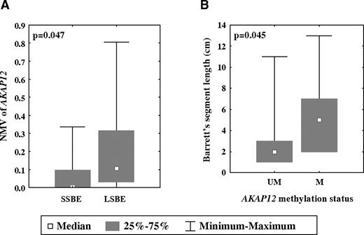 Figure 3. Correlation between Barrett's segment length and AKAP12 hypermethylation. A. NMV of AKAP12 was significantly higher in LSBE (mean, 0.1879) than in SSBE (mean, 0.0543; P = 0.047, Student's t test). B. Positive AKAP12 hypermethylation status was significantly correlated with BE segment length (P = 0.045, Student's t test).