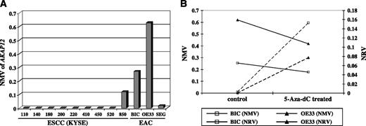 Figure 4. AKAP12 methylation status and mRNA expression in esophageal cancer cell lines after treatment with 5-Aza-dC. A. One of nine ESCC and two of three EAC esophageal cancer cell lines showed high AKAP12 methylation levels, above the threshold level of 0.05. B. BIC and OE33 EAC cells were subjected to 5-Aza-dC treatment. After 5-Aza-dC treatment, the NMV of AKAP12 was diminished, whereas the normalized mRNA value (NRV) of AKAP12 was increased in both cell lines.