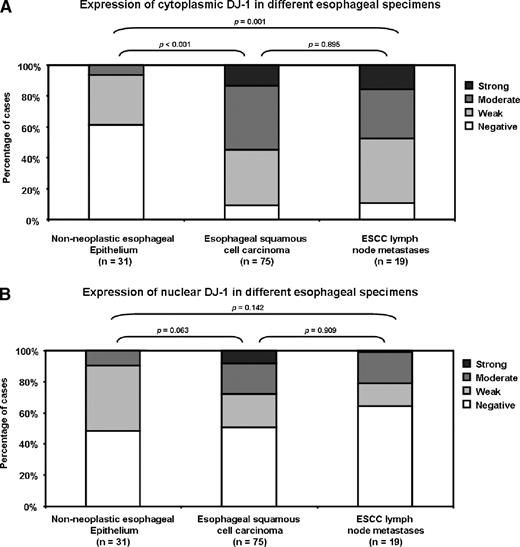 Figure 2. Summary of cytoplasmic and nuclear expression of DJ-1 in different esophageal specimens. A. Cytoplasmic staining of DJ-1 was significantly higher in both ESCC and lymph node metastases compared with nonneoplastic esophageal epithelium specimens. B. DJ-1 nuclear staining was not significantly different among the three types of esophageal specimens.