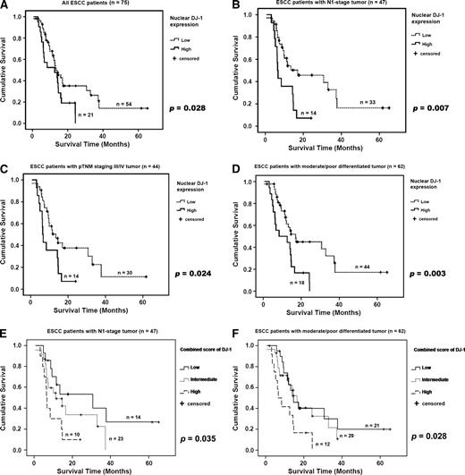 Figure 4. Kaplan-Meier analysis of the significance of DJ-1 in predicting patient survival. A. Patients with their primary ESCC stained a high level of nuclear DJ-1 had a significantly shorter survival. B. A high level of nuclear expression of DJ-1 in N1 primary tumor specimens is significantly correlated with a poor patient survival. C. A high level of nuclear expression of DJ-1 in pTNM stage III/IV primary tumors is significantly correlated with a poor patient survival. D. A high level of nuclear expression of DJ-1 in moderately or poorly differentiated ESCC is significantly correlated with a poor patient survival. E. Higher combined DJ-1 score significantly correlated with poorer patient survival in patients with N1-stage tumor. F. High combined DJ-1 score significantly correlated with poor patient survival in patients with moderately or poorly differentiated tumor.