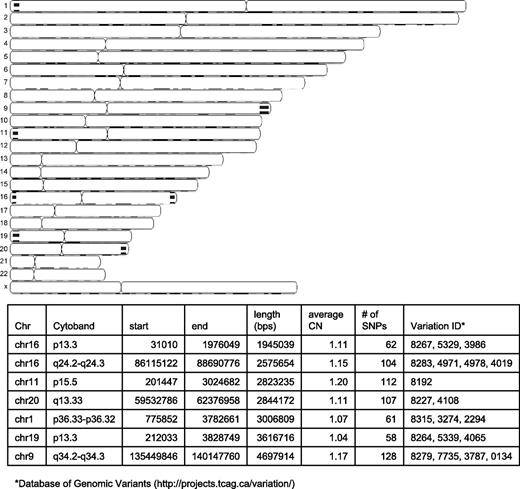 Figure 3. Top, graphical representation of the genome-wide copy number (CN) change regions. Blue regions, loss of copy number in WGA samples compared with the corresponding gDNA samples. No region was identified as gain of copy number. Bottom, chromosomal location, length, average CN, the CN variation ID number from the database of genomic variants, and the number of SNPs in those CN loss regions shown on top.
