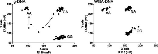 Figure 6. Genotyping from gDNA and corresponding WGA DNA for rs1476413 using fluorescent polarization method (a single-base extension method). Clustering of 84 genotype calls, using 25 ng of gDNA (left) and 25 ng of corresponding WGA DNA (from stock of WGA obtained from 25 ng of gDNA input in WGA reaction; right). SNP concordance was 100%.