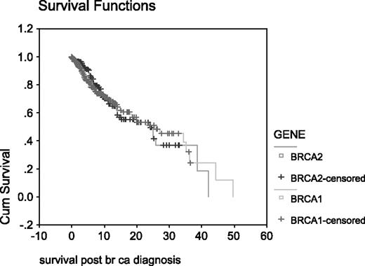 Figure 2. Breast cancer survival from diagnosis in BRCA1 compared with BRCA2 female mutation carriers (P = 0.97).