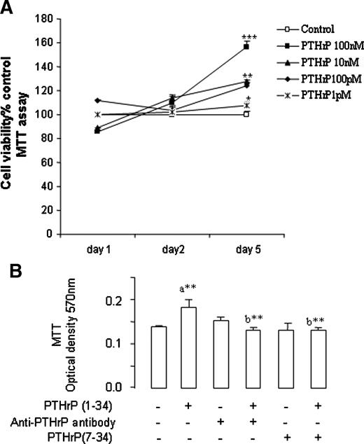 Figure 4. A. Effect of PTHrP(1-34) on the viability and proliferation of H295R cells. Left, dose-dependent stimulation of H295R cell proliferation [3-(4,5-dimethylthiazol-2-yl)-2,5-diphenyltetrazolium bromide kit] by incubation with PTHrP(1-34) for 2 and 5 d. The percentage (control = 100) viability of cells incubated with 10 pmol/L, 10 nmol/L, and 100 nmol/L of PTHrP was significantly different from controls in serum-free, growth factor–free medium (depleted medium) by the Fisher test—2 d, P < 0.005 for 100 nmol/L; 5 d, P < 0.0001 for 100 nmol/L, P < 0.005 for 10 nmol/L or 100 pmol/L, and P ≤ 0.0.5 for 10 pmol/L. A. Data from five experiments done in triplicate. B. Effect of incubation for 2 d with the PTHrP receptor antagonist PTHrP(7-34) (100 nmol/L) and anti-PTHrP(1-34) antibody (0.5 μg/mL), with or without 100 nmol/L of PTHrP, on the viability and proliferation of H295R cells. The Fisher test was used for statistical analysis: a**, P < 0.001 compared with the untreated cells; b**, P < 0.001 compared with cells treated with 100 nmol/L of PTHrP(1-34).