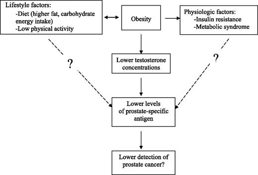 Figure 1. The proposed relationship between PSA and lifestyle and physiologic factors associated with obesity.