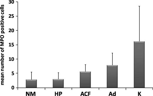 Figure 4. Overall mean number of MPO-positive cells per ×100 optical fields in normal colorectal mucosa (NM), hyperplastic polyps(HP), aberrant crypt foci (ACF), adenomas (Ad), and carcinomas (K). Overall difference among groups is highly significant (P < 0.01), as it is the trend of increasing MPO staining from NM through carcinomas (P < 0.01). All differences in mean MPO staining between groups are significant, except for NM-HP and ACF-Ad pairs.