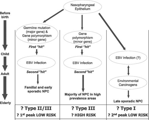Figure 4. Three pathways leading to the development of NPC, modified from Chan et al., 2004 in chapter 2 of ref. 12.