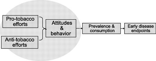 Figure 2. Basic conceptual framework for modeling.