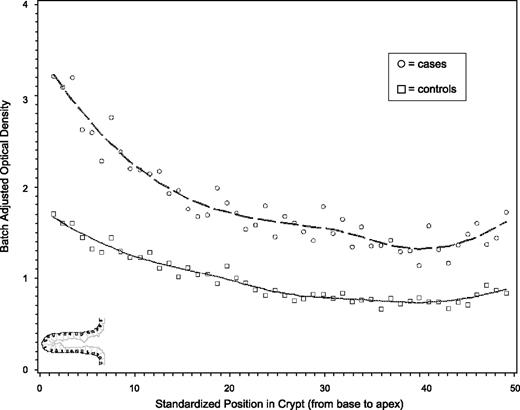 Figure 3. Distribution of TGF-α expression throughout colon crypts in incident sporadic colorectal adenoma cases and controls, MAP II. Cells from the base to the opening of the crypt (proliferative zone to zone of differentiation) are presented on the X axis. Y axis, batch-standardized staining optical density. circles, measures in cases, squares measures in controls. point, the average of all patients' hemicrypts at a standardized crypt section or location. smoothed line, the best fit for the data.