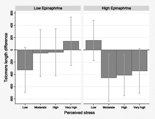 Figure 1. Estimated telomere length difference in association with higher perceived stress: stratified by urinary epinephrine levels. Linear regression models with telomere length as outcome for higher levels of perceived stress compared with the lowest category; estimated β coefficient and 95% CI corresponding to difference in bp average telomere length, adjusting for age and BMI (continuous), non-White race, and smoking history. Stratified using median cut-point for creatinine-adjusted urinary epinephrine; high, above the median.