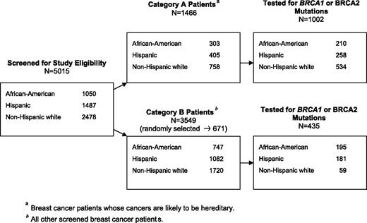Figure 1. Flowchart of patient screening, sampling, and BRCA mutation testing.