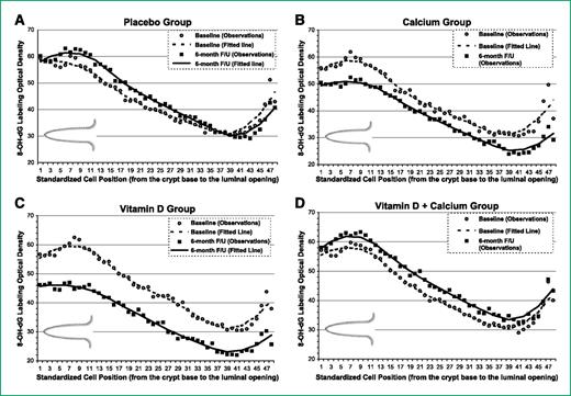 Figure 2. Distribution of 8-OH-dG staining optical density along normal colorectal crypts by treatment group at baseline and follow-up. A. Placebo group. B. Calcium group. C. Vitamin D group. D. Vitamin D plus calcium group.