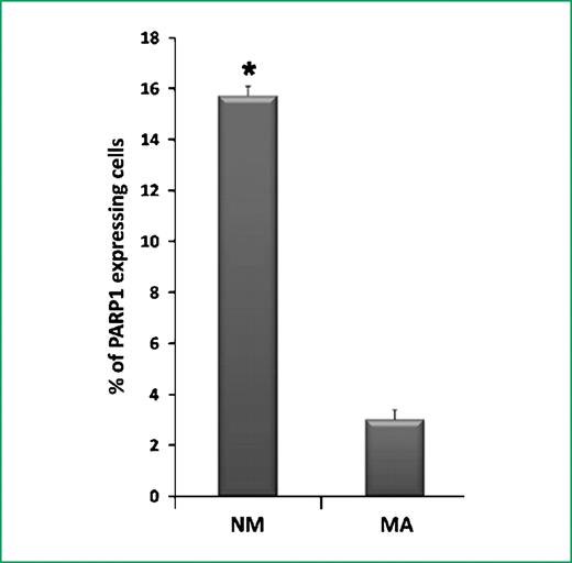 Figure 2. Mean percentage of Cleaved PARP-1–positive cells in normal mucosa (NM) and in microadenomas (MA). The percentage of labeled cells in normal colorectal mucosa was 15.7 ± 0.40% (SD) and 3.0 ± 0.37% (SD) in microadenomas (*, P < 0.05 by Student's t test).