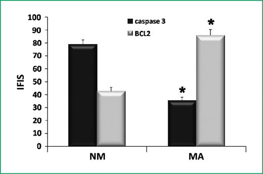 Figure 3. Mean Caspase-3 active and Bcl-2 gray levels in normal mucosa (NM) and in microadenomas (MA). For Caspase-3 active, the samples of normal colorectal mucosa are strongly stained, whereas microadenomas show lower staining; the IFIS (columns, mean; bars, SD) is 78.97 ± 1.29 for normal colorectal mucosa and 35.37 ± 1.14 for microadenomas. For Bcl-2, microadenomas have an IFIS of 85.68 ± 1.79, whereas normal colorectal mucosa have an IFIS of 42.72 ± 1.02. Differences in IFIS between normal colorectal mucosa and microadenomas were all significant (*, P < 0.05 by Student's t test).