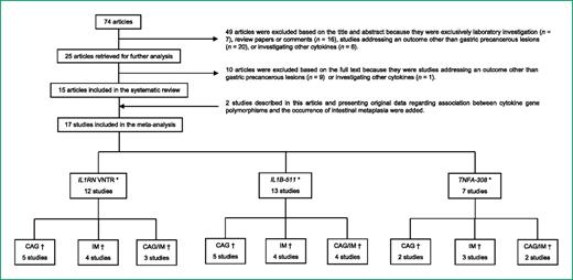 Figure 1. Systematic review flowchart. CAG, chronic atrophic gastritis; IM, intestinal metaplasia; *, exposure; †, outcome studied.