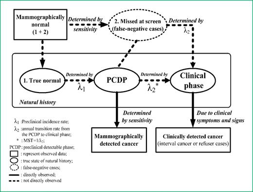 Figure 1. The three-state natural history model and the observed data from population-based screening with mammography for breast cancer.