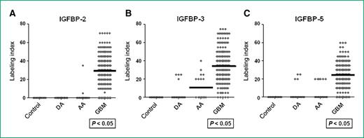 Figure 3. Protein expression pattern of IGFBP-2, -3, and -5 in various grades of astrocytoma. A, B, and C, scatter plots showing differential expression of IGFBP isoforms in diffusely infiltrating astrocytoma. The LIs of different samples obtained from immunohistochemistry analyses are plotted for IGFBP-2, IGFBP-3, and IGFBP-5 (Y-axis) against control, DA, AA, and GBM samples (X-axis). A significant difference in the median LIs of IGFBP isoforms was observed between GBM, AA, DA, and control by Kruskal-Wallis one-way ANOVA followed by Dunn's post hoc test (P < 0.05). Bars, group medians.