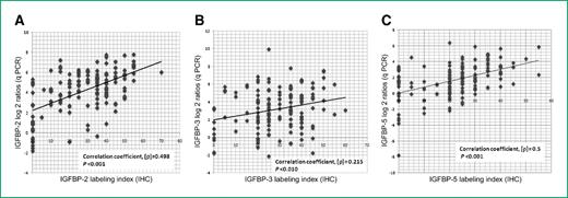 Figure 4. A scatter plot showing a positive correlation between the mRNA and protein expressions of IGFBP isoforms: Spearman's rank correlation coefficient for (A) IGFBP-2, ρ = 0.498; P < 0.001; (B) IGFBP-3, ρ = 0.215; P < 0.010; and (C) IGFBP-5, ρ = 0.500; P < 0.001. The linear regression line that best fits the data is shown.