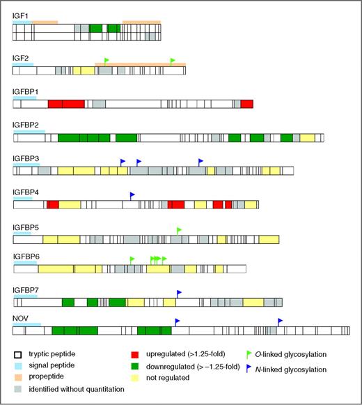 Figure 1. Peptide sequence coverage of members of the insulin-like growth factor protein family.