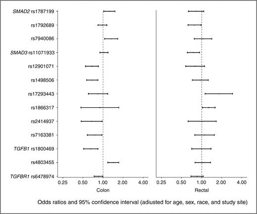 Figure 1. Associations between SNPs in the TGF-β signaling pathway and colon and rectal cancer.
