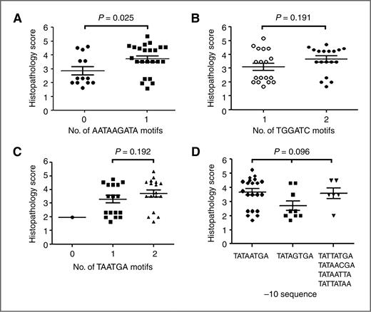 Figure 6. Relationship between histopathology scores and cagA upstream sequences. DNA sequencing revealed 4 regions upstream of the cagA ATG initiation site that varied among the different Colombian strains (see Figure 2A). The strains vary in the number of copies of the indicated DNA sequences (A–C) or vary in −10 sequences (D). The histology scores are compared with the number of AATAAGATA motifs (A), TGGATC motifs (B), TAATGA motifs (C), and type of −10 sequence (D). P values were calculated using t test (A–C) or 1-way ANOVA (D).