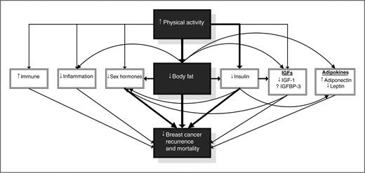 Figure 4. Hypothesized mechanisms mediating an effect of physical activity on breast cancer outcomes (With kind permission from Springer Science+Business Media: The biological mechanisms by which physical activity might have an impact on outcome/prognosis after a breast cancer diagnosis. In: Saxton J, Daley A, Editors. Exercise and Cancer Survivorship. New York: Springer; 2010. p. 97–112, Irwin, M).