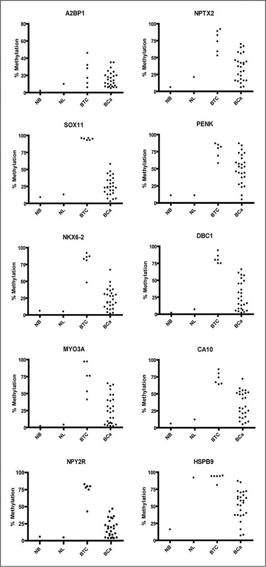 Figure 1. Scatter plot of bisulfite pyrosequencing results of candidate genes in NBs, NLs, 6 BTC lines, and 26 primary bladder tumors (BCa). We used a mixture of normal bladder DNA from 3 persons (2 men and 1 woman) as a control (NB). We also analyzed leukocytes because urine sediment DNA contains a high proportion of leukocyte-derived DNA.