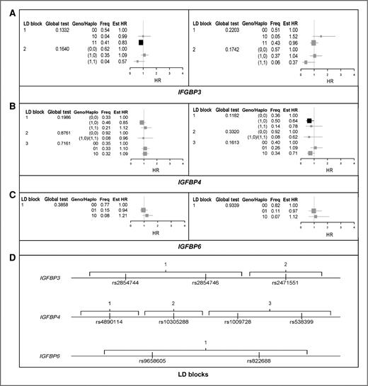 Figure 2. Estimated HRs associated with haplotype presence for IGFBP3 (A), IGFBP4 (B), and IGFBP6 (C). Linkage blocks (D) were defined as pairwise D′ ≥ 0.90. Estimates were stratified by BRCA1/2 mutation status (BRCA1 in left column and BRCA2 in right column) and adjusted for birth cohort and ancestry as well as first pregnancy, prophylactic oophorectomy, and diagnosis of ovarian cancer as time-dependent covariates.