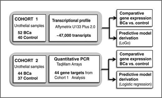 Figure 1. Overall scheme of diagnostic biomarker discovery and verification approach. Urothelial samples from the discovery cohort of 92 subjects (52 bladder cancer cases) were profiled using gene expression arrays monitoring approximately 47,000 transcripts per sample. Computational analyses identified bladder cancer-associated genes and a diagnostic molecular signature that had optimal predictive value (see Supplementary Tables S1 and S2). Forty-eight targets were selected from the discovery cohort analyses for validation in an independent cohort of 81 subjects (44 bladder cancer cases). Validation was carried out using quantitative PCR using TaqMan assays. Data analysis identified bladder cancer association of individual biomarkers (Table 2) and predictive multiplex signatures (Table 3).