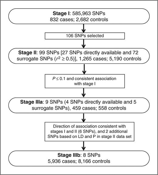 Figure 1. Overview of the study design.
