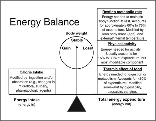 Figure 1. The complex dynamic nature of energy balance: Energy balance occurs when energy intake (measured in kilocalories) equals total energy expenditure (RMR + physical activity + thermic effect of food), with gains and losses occurring when there is an imbalance. A gain of one pound occurs when approximately 3,500 calories are consumed in excess of energy needs.